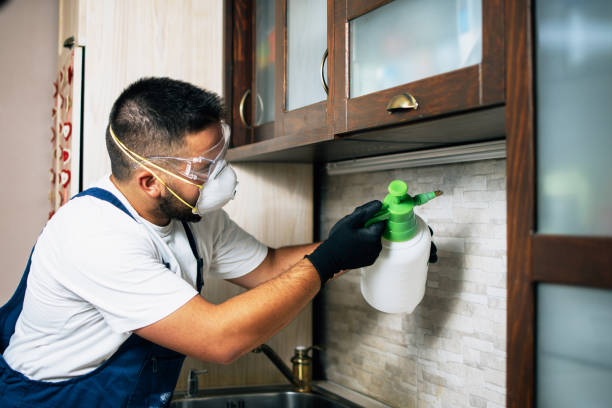 Best Commercial Pest Control Services  in Beaver, UT