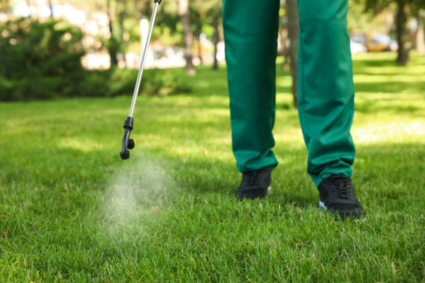 Reliable Beaver, UT Pest Control Solutions