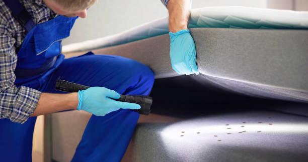 Best Cockroach Control Services  in Beaver, UT