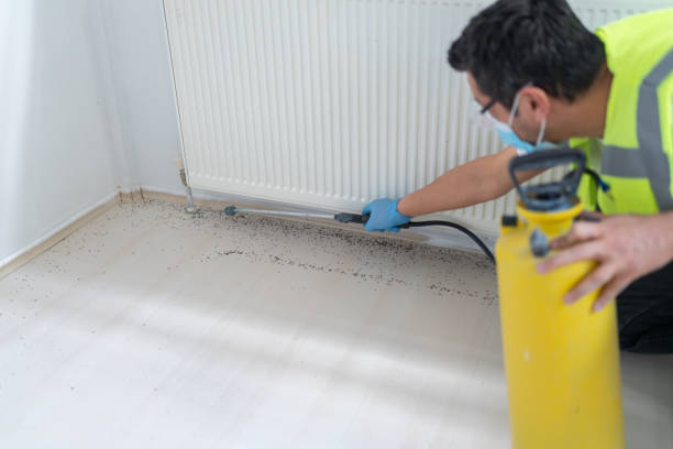 Best Affordable Pest Control Services  in Beaver, UT